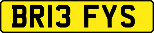 BR13FYS