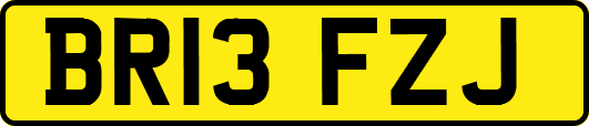 BR13FZJ