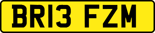 BR13FZM