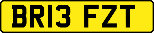 BR13FZT