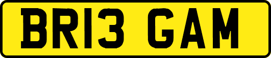 BR13GAM