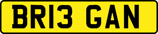 BR13GAN