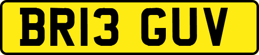 BR13GUV