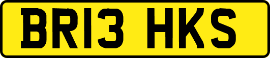 BR13HKS