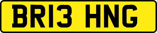 BR13HNG
