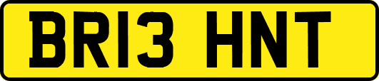 BR13HNT