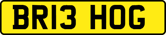 BR13HOG