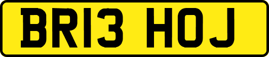 BR13HOJ