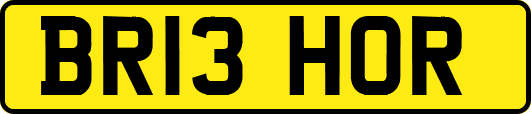 BR13HOR