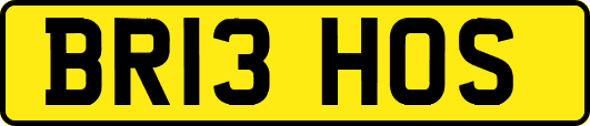 BR13HOS