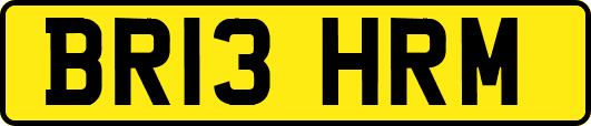 BR13HRM