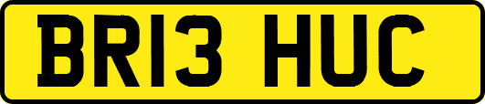 BR13HUC