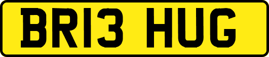 BR13HUG