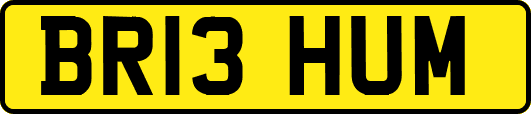 BR13HUM
