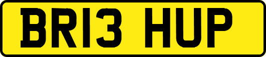BR13HUP