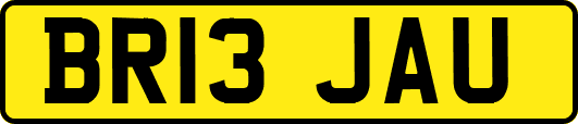 BR13JAU