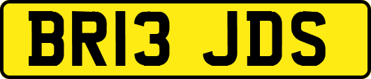 BR13JDS