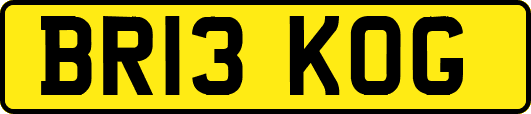 BR13KOG