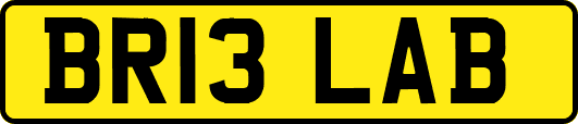 BR13LAB