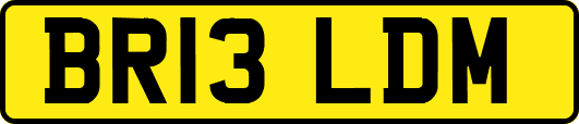 BR13LDM