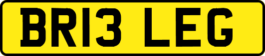 BR13LEG