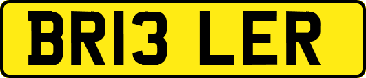 BR13LER