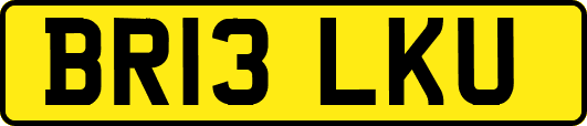 BR13LKU