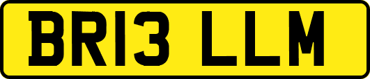 BR13LLM