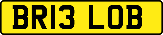 BR13LOB