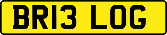 BR13LOG