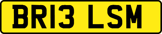 BR13LSM
