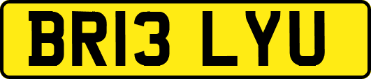 BR13LYU