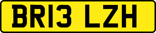 BR13LZH