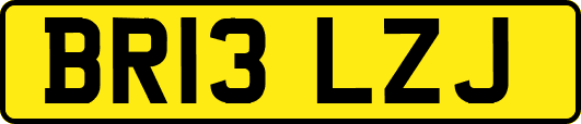 BR13LZJ
