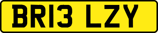 BR13LZY
