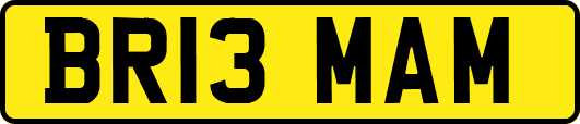 BR13MAM