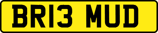 BR13MUD
