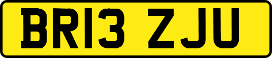 BR13ZJU