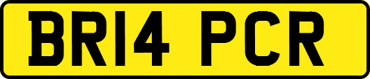BR14PCR
