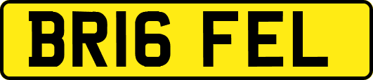 BR16FEL