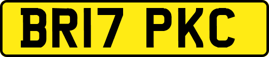BR17PKC