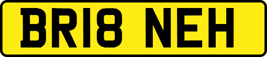 BR18NEH