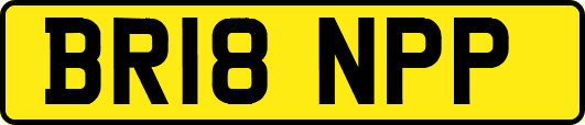 BR18NPP