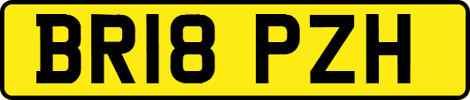 BR18PZH