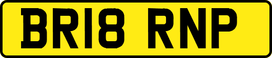 BR18RNP