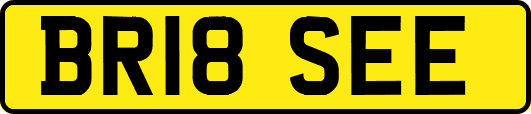BR18SEE