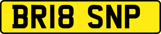 BR18SNP