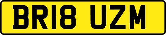 BR18UZM