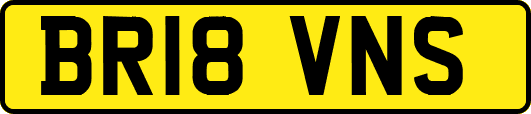 BR18VNS