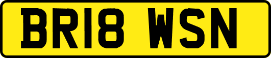 BR18WSN